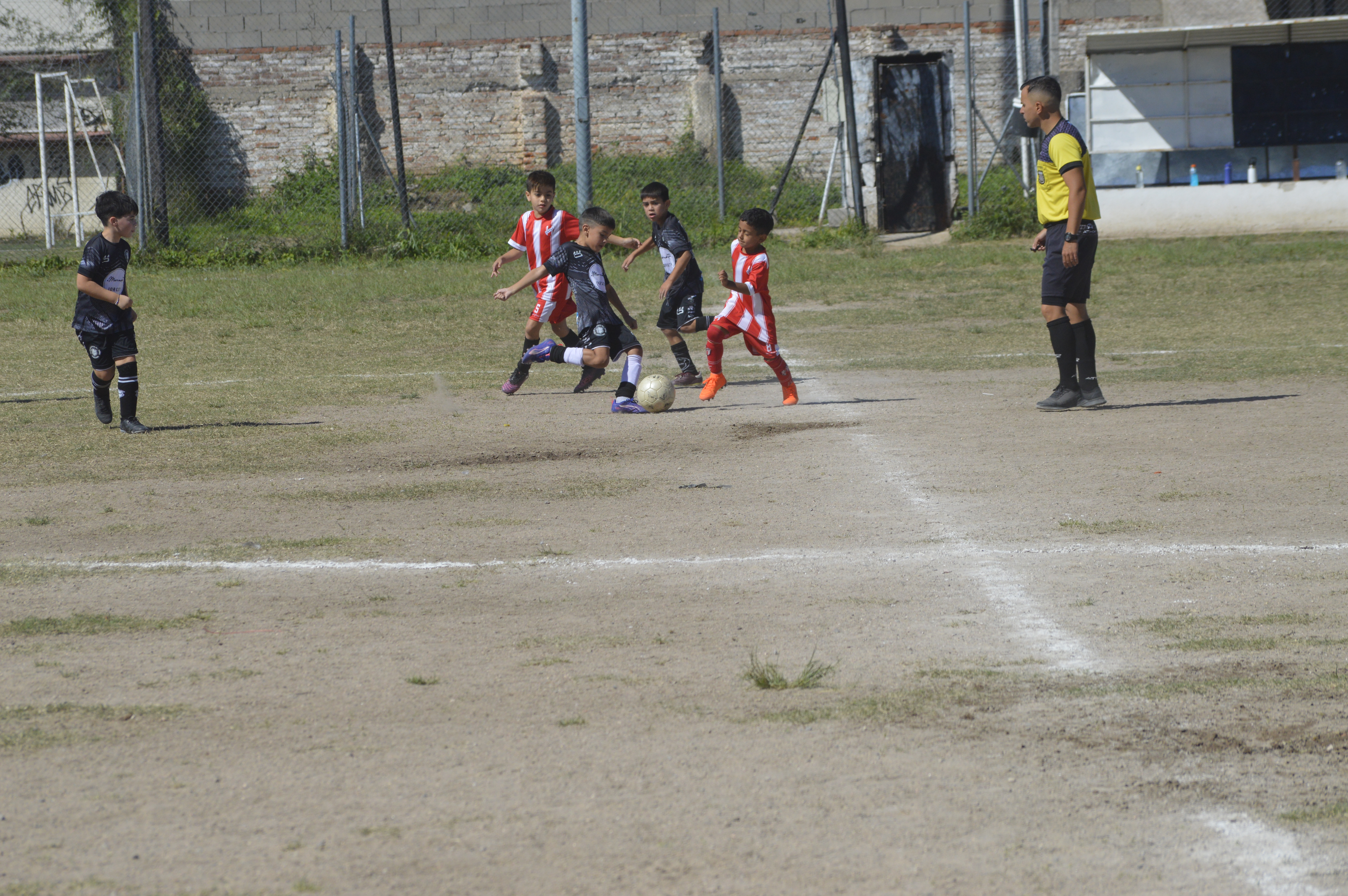 Imagen 2